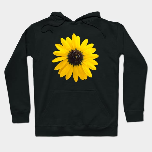 sunflower blossom design Hoodie by pholange